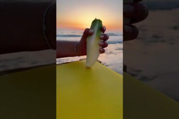 Fresh Salad Sandwich By The Sea!   #salad #summer #shorts #foodie #beach #healthy #cheese #bread