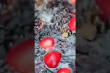 Washing healthy fresh fruits #food#health#healthy#shorts#foodie#recipe#asian#chinese