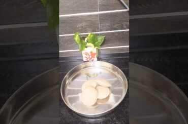 solam idly # healthy breakfast recipe for kids #shorts#k2s Tamil kitchen #