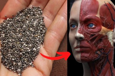 What Happens When You Start Eating Chia Seeds Every Day