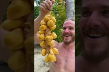 This is the sweetest fruit on earth!