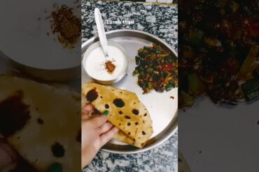 healthy lunch thali #lunchthali #bhindipyaza #sabjiroti #bhindirecipe #bhindisabjiroti #healthymeal