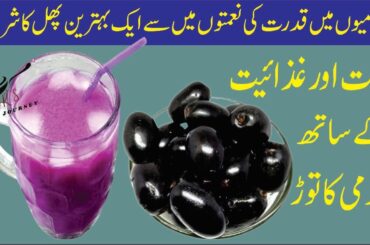 How to Make a Smoothie | Healthy Juice | Black Plum | Healthy Recipes | Noor’s Food Journey