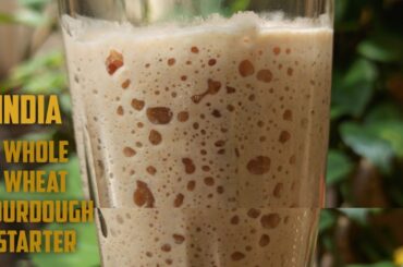 Whole Wheat Sourdough Starter Recipe for No Yeast Bread [Step-by Step Sourdough Starter Tutorial]