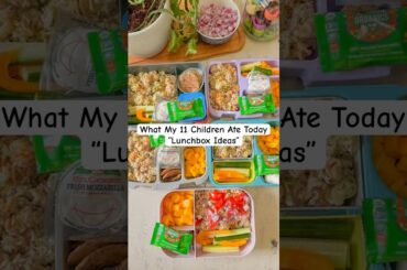 Feeding 11 Kids: Healthy & Simple Lunch Box Ideas