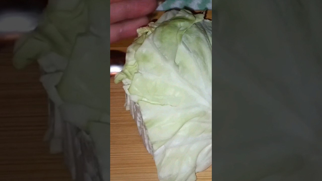 REPOLLO O COL HISTORIA Y SUS BENEFICIOS #cookingrecipe #healthy #health #recipes #healthylifestyle REPOLLO O COL HISTORIA Y SUS BENEFICIOS #cookingrecipe #healthy #health #recipes #healthylifestyle