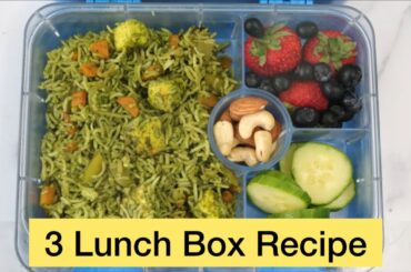 3 Easy & Healthy Lunch Box Recipes  | Kids Lunch Box Ideas | Healthy Recipes for Dinner