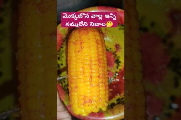 #manthenasatyanarayanarajuvideos #viral #food #healthy #corn #shortsfeed #cooking