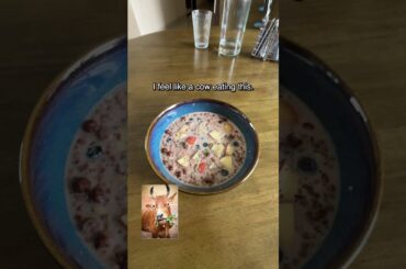 Healthy breakfast for weight loss? | Mac Macha | #Shorts