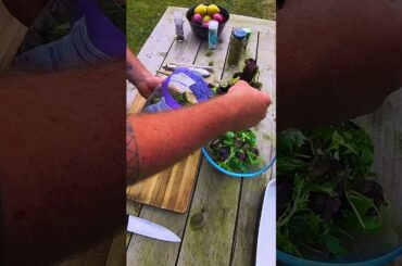 Low Calorie BBQ Prawn Salad with BodySlims