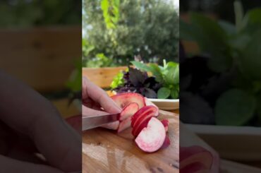 Vegetable Salad Recipe #food #recipe #shortvideo #weightloss