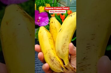 HEALTHY BANANA RECIPE NO OVEN | banana FRENCH TOAST for BREAKFAST