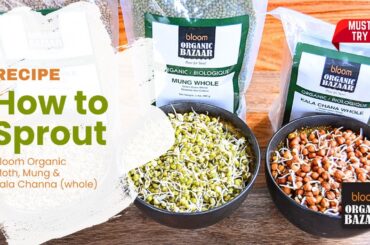 How to Sprout | Healthy Recipes | www.bloomorganicbazaar.com