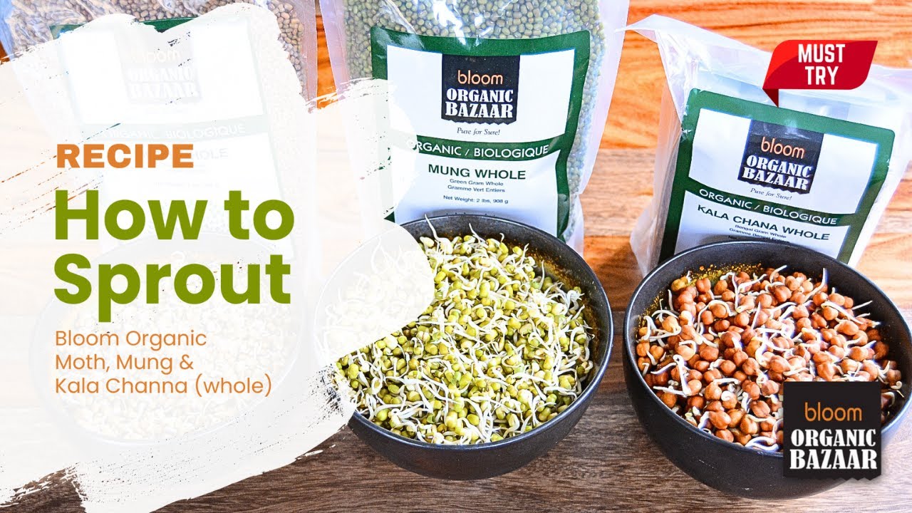 How to Sprout | Healthy Recipes | www.bloomorganicbazaar.com How to Sprout | Healthy Recipes | www.bloomorganicbazaar.com