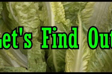 400 Calorie Healthy Meals