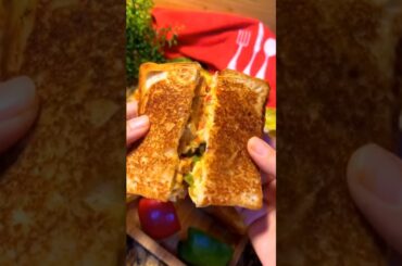 Chicken Fajita Sandwich || chicken sandwich recipe || sandwich recipe || #shorts #viral #cooking