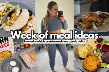 WEEK OF CALORIE DEFICIT MEAL IDEAS for fat loss ( low calorie + high protein)