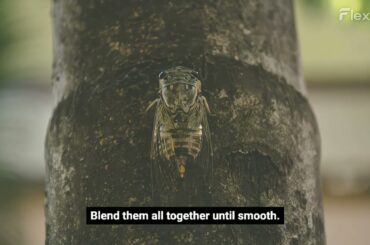 Healthy Recipes Quick   Made with Clipchamp