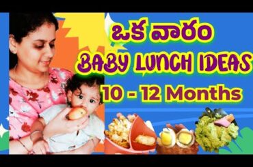 Healthy Lunch Recipes For babies (10 -12 Months) || 1 week Lunch recipes for 10 Month Baby #babyfood