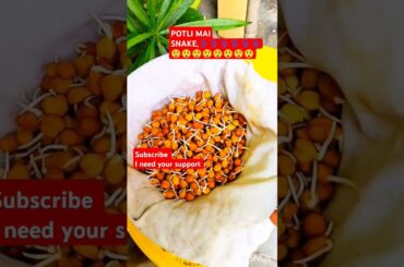 Healthy sprouts l sprouts recipe l sprouts for weightloss l amazing facts#viral#trending #yt shorts