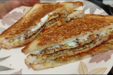 "Homemade Sandwich Ideas | Easy & Delicious Recipes for Lunch or Dinner"