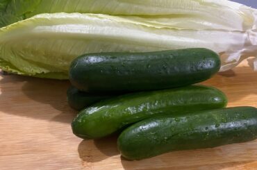 Green healthy salad eat and you will lose belly fat