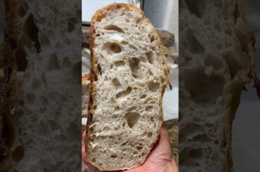 Sourdough bread #bread #dough #easy #fyp #sourdoughbread #cooking #food  #homemade #healthy #shorts