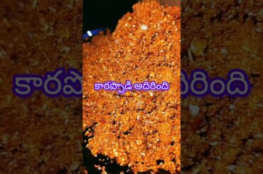 vellulli karam #shortstelugu #foodie #healthtips #health #manthenaofficial #food #recipe #trending