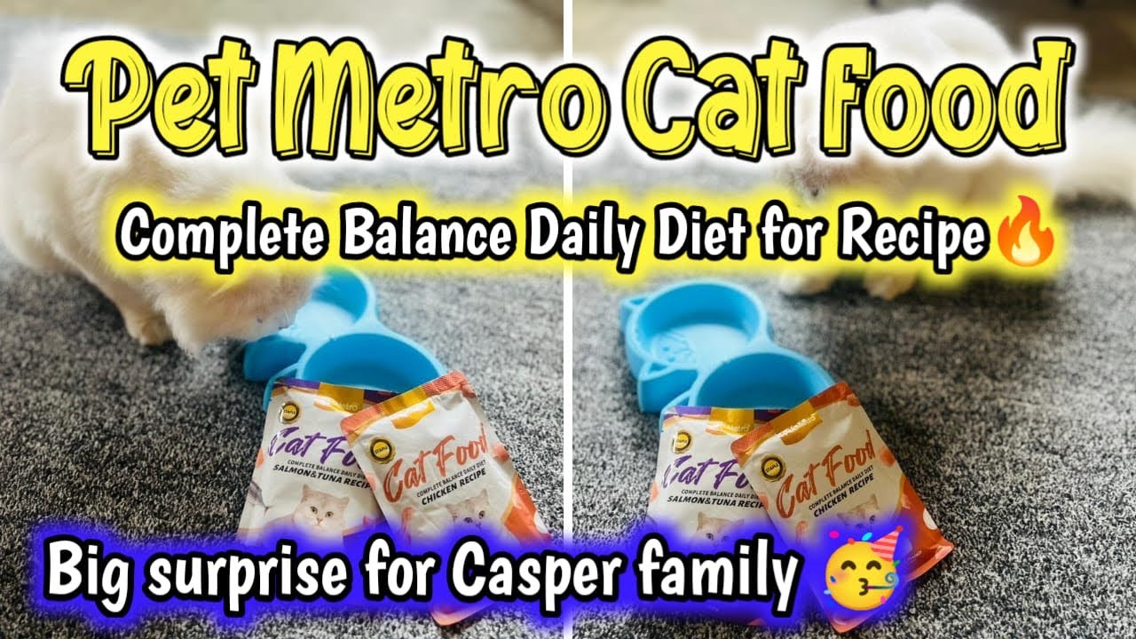 Pet Metro Cat Food Complete Balance Daily Diet Recipe for Persian cat or kittens |Homemade cat food Pet Metro Cat Food Complete Balance Daily Diet Recipe for Persian cat or kittens |Homemade cat food