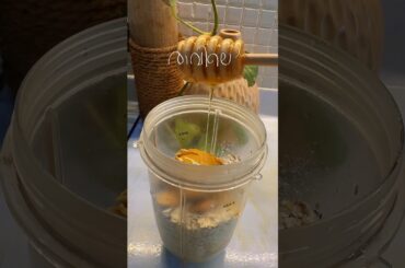 #healthy Breakfast Recipes/Dinner#shorts #morningroutine #breakfast #dinner #lunch