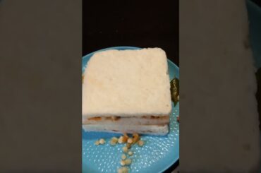 Sabudana cheese sandwich recipe|| #shorts #viralvideo #trending #youtubeshorts #shortsvideo