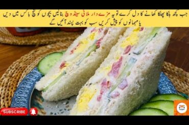 Malai Cold Sandwich / Healthy Malai Sandwich Recipe / Ideal For Lunch Box & Tea time / Punjab Spice
