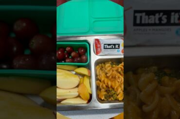 Back to school lunch box series- healthy lunch ideas for kids @bentgo
