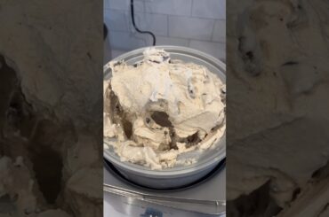 Healthier Ice Cream Recipe with Date Sugar #icecream #dessert #recipe #snacks