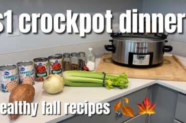 $1 CROCKPOT DINNERS! Healthy Fall Crockpot Recipes | Extreme Budget HEALTHY Recipes