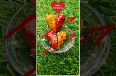 Healthy Heart-Shaped Aata Snacks | Quick & Tasty Breakfast Recipe #shorts #ytshorts