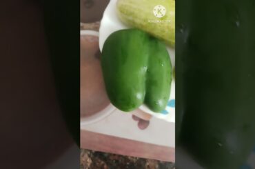 Healthy breakfast recipe #healthy #weightloss #salad #recipe #homemade #quickrecipe #trending