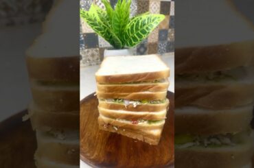 Healthy sandwich breakfast recipe #shorts #shortsfeed #short #healthyfood #healthylunch #ytshorts
