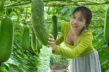 Quick and Easy Winter Melon Recipe for a Healthy Family Dinner