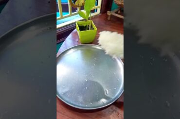 simple healthy lunch#shorts