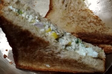 BROWN BREAD SANDWICH