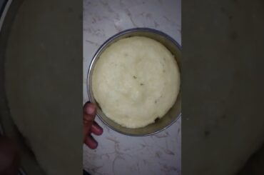 Rava Dhokla Recipe| Healthy Breakfast Recipe| 15 min Recipe| #shortsfeed #shorts