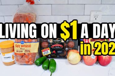 Eating for $1 a Day | Full Week of Cheap and Healthy Meal Ideas You Need to Try in 2024
