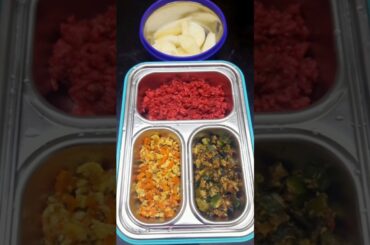 Healthy lunch box ideas #shorts #lunchbox #lunch #youtubeshorts #healthyfood