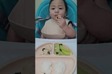part 11: baby's perfect lunch | chicken,sayote & rice, healthy lunch. #babyfood