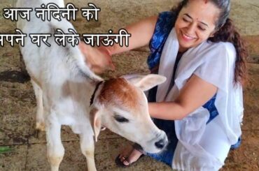 6 am Morning Routine | Kids School Tiffin Box Idea | Healthy Breakfast Recipe |Indian Lunch Recipe