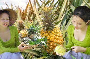 From Pineapple Harvest to Healthy Summer Snacks: Simple Recipes