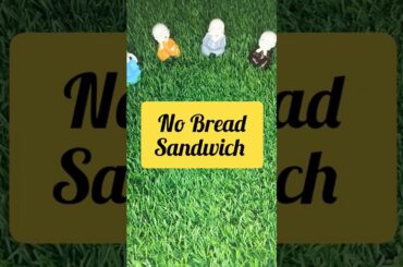 Viral no bread sandwich recipe |Full healthy& Delicious #shorts #healthy #toast#easyrecipe #sandwich