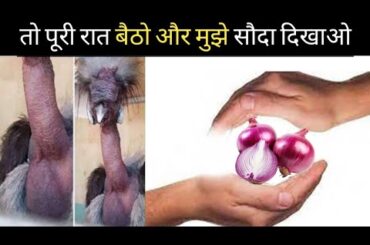 Healthy Dinner Recipes WITHOUT Onion & Garlic | roots & remedies