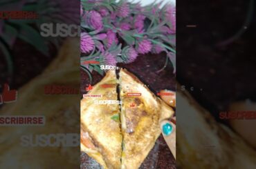 Quick and Easy Grilled Cheese Sandwich Recipe || Sandwich Lover